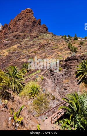 Célèbre canyon Masca à Tenerife - Canary Banque D'Images