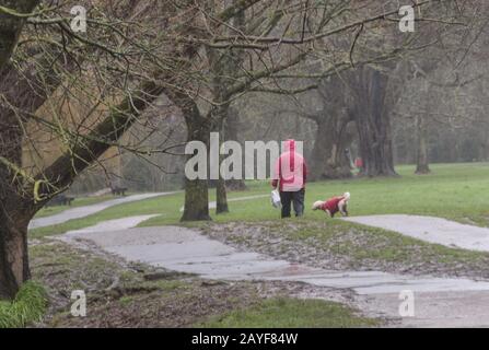 Sidmouth, Devon, 15 Février 2020. Malgré la pluie battante et les vents de la gale foce, les gens étaient toujours dehors et sur la marche du chien dans les Byes, Sidmouth, Devon. Crédit: Photo Central/Alay Live News Banque D'Images