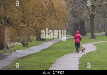 Sidmouth, Devon, 15 Février 2020. Malgré la pluie battante et les vents de la gale foce, les gens étaient toujours dehors et sur la marche du chien dans les Byes, Sidmouth, Devon. Crédit: Photo Central/Alay Live News Banque D'Images