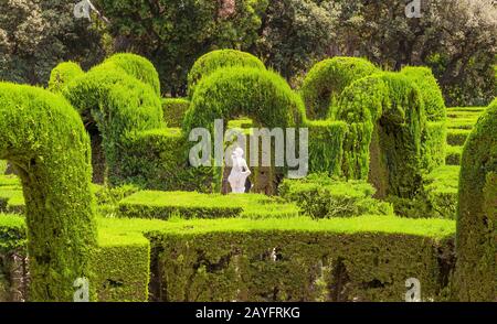 Parc et jardin avec labyrinthe de labyrinthe à Barcelone Espagne en été Banque D'Images