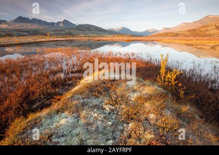 Parc national de la rivière Rondane en automne, Norvège, parc national de Rondane Banque D'Images