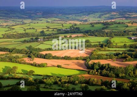 Bocage Paysage À Brecon Beacons, Royaume-Uni, Pays De Galles, Brecon Beacons National Park Banque D'Images