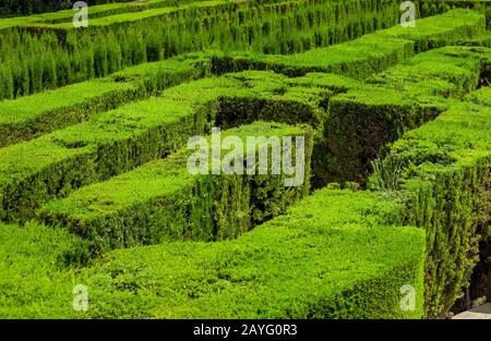 Parc et jardin avec labyrinthe de labyrinthe à Barcelone Espagne en été Banque D'Images