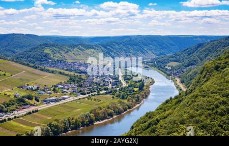 Vue aérienne sur la vallée de la Moselle avec le village Enkirch et les vignobles environnants dans un après-midi ensoleillé. Allemagne. Banque D'Images