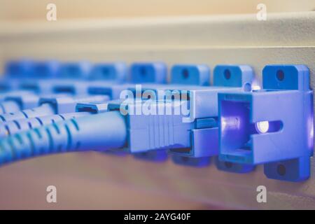 Les fils optiques sont connectés au cadre de distribution de fibre optique. Le signal lumineux est émis par le port de l'équipement de commutation. Conceps Banque D'Images