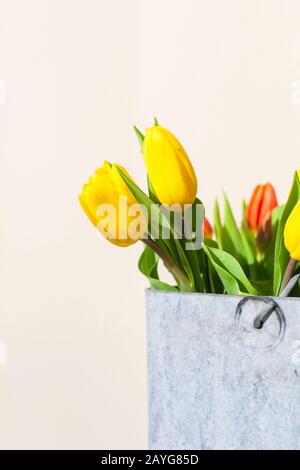 Tulipes rouges et jaunes dans un seau en zinc de style champêtre, à la lumière du soleil, bouquet de fleurs pour la décoration de Pâques sur fond ouvert avec espace de copie Banque D'Images