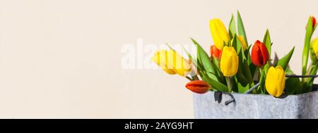 Tulipes rouges et jaunes dans un seau en zinc de style champêtre, à la lumière du soleil, bouquet de fleurs pour la décoration de Pâques sur fond ouvert avec espace de copie Banque D'Images