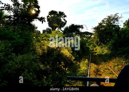 Vue sur la campagne cambodgienne depuis le célèbre train en bambou Banque D'Images