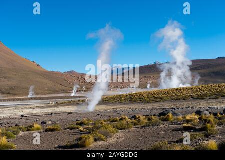 La vapeur s'élève des sources chaudes du bassin géothermique El Tatio Geysers près de San Pedro de Atacama dans le désert d'Atacama, dans le nord du Chili. Banque D'Images