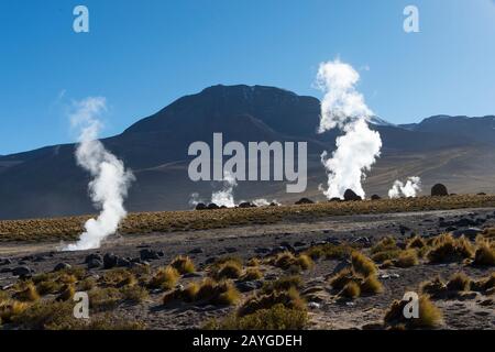 La vapeur s'élève des sources chaudes du bassin géothermique El Tatio Geysers près de San Pedro de Atacama dans le désert d'Atacama, dans le nord du Chili. Banque D'Images