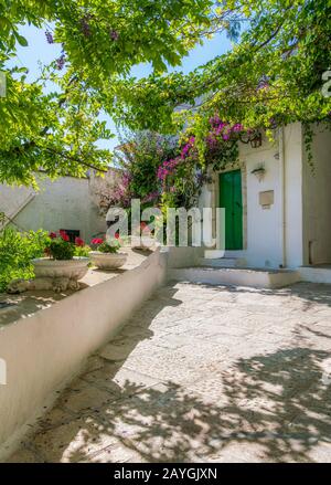 Vue panoramique à Ostuni lors d'une journée d'été ensoleillée, Pouilles, sud de l'Italie. Banque D'Images