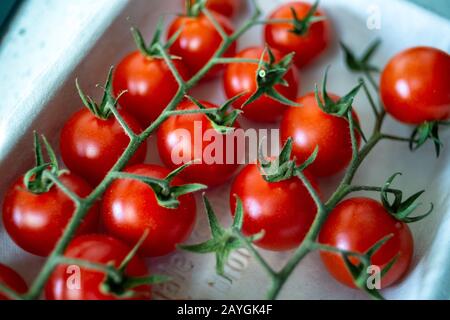 Tomates cerises biologiques fraîches sur la vigne dans un emballage écologique Banque D'Images