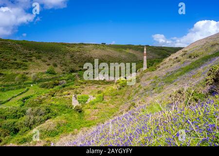 L'ancien Arsenic travaille à Kenidjack Valley près de St Just Cornwall Angleterre Royaume-Uni Europe Banque D'Images