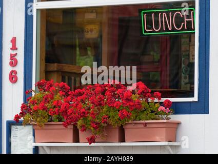 Newport, Oregon, États-Unis - 25 mai 2016 : à l'extérieur d'un petit restaurant, on trouve des géraniums en fleurs dans des pots sous la fenêtre. Banque D'Images