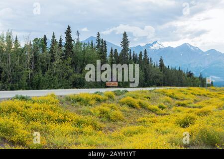 La route de l'Alaska se dirigeant vers le nord depuis Haines Junction, Yukon, Canada Banque D'Images