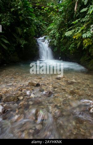 La Cascada (chute d'eau) Ondinas dans la forêt tropicale De la Réserve forestière nubillo Cloud à Mindo, près de Quito, Équateur. Banque D'Images