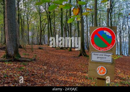 Forêt avec panneau 'no not ENTER', site expérimental pour la succession par Loki Schmidt, Allemagne, Schleswig-Holstein, Flensburger Foerde Banque D'Images