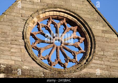 Gros plan de la fenêtre circulaire dans le mur d'extrémité des ruines de l'abbaye de Jedburgh, Jedburgh, Scottish Borders, Ecosse vu sur un fond de ciel bleu. Banque D'Images