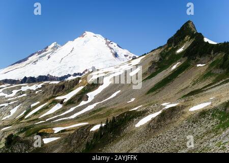 Vue sur le mont Baker depuis la piste de Ptarmigan Ridge, Mt. Baker-Snoqualmie National Forest, Washington, États-Unis Banque D'Images