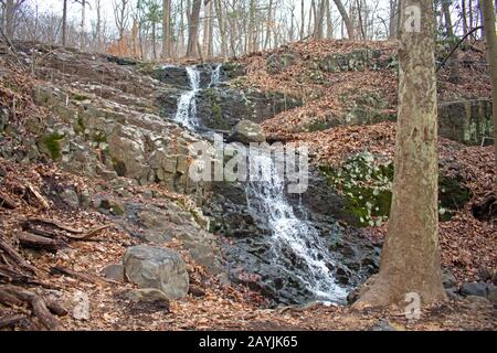 Une petite chute d'eau sans nom près de Hemlock Falls dans South Mountain Reservation et une partie des montagnes Watchung, dans le comté d'Essex, New Jersey, États-Unis. -01 Banque D'Images