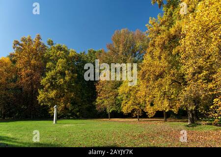 Parc Monza, Lombardie, Italie: Le feuillage en octobre Banque D'Images