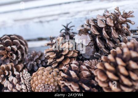 Les pinecones sont affichées sur fond de blanchis dans l'un des nombreux magasins spécialisés de Blowing Rock, en Caroline du Nord. Banque D'Images