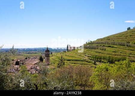 Paysage de collines de Valpolicella, la viticulture Italienne, Italie. Paysage rural Banque D'Images