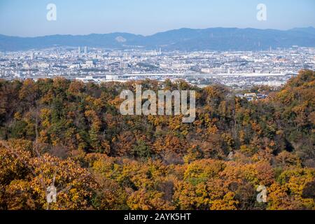 Paysage d'automne, feuillage d'automne dans la forêt tempérée à feuilles caduques d'Osaka, Japon, avec paysages urbains d'Osaka, vue aérienne Banque D'Images