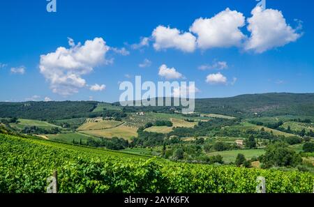 Vignes et paysage rural toscan à San Gimignano, Toscane, Italie Banque D'Images