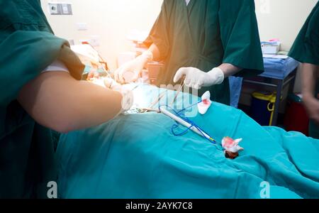 Section intermédiaire de l'équipe de chirurgie exploitant l'équipe médicale exécution de l'opération chirurgicale dans la salle D'opération Moderne ou le groupe de chirurgiens dans la salle d'opération avec s Banque D'Images