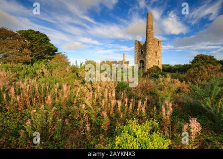 Maisons de moteurs à Wheel Peevor, près de Redruth à Cornwall Banque D'Images