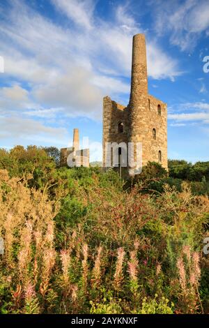 Maisons de moteurs à Wheel Peevor, près de Redruth à Cornwall Banque D'Images