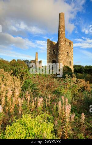 Maisons de moteurs à Wheel Peevor, près de Redruth à Cornwall Banque D'Images