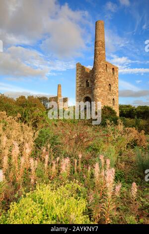 Maisons de moteurs à Wheel Peevor, près de Redruth à Cornwall Banque D'Images