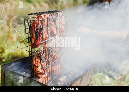 Assortiment de viande de poulet et de porc sur barbecue cuit à l'extérieur le jour de l'été Banque D'Images