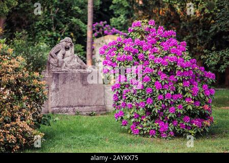 Cimetière au printemps avec des fleurs et des arbres magnifiquement fleuris, le concept de tristesse et de gothique médiéval Banque D'Images