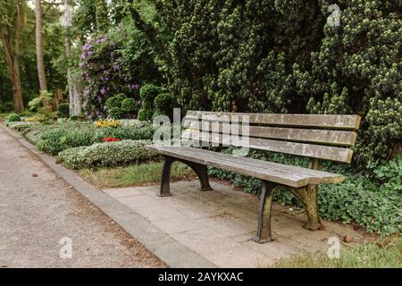 Vieux banc de bois vide cemetery Banque D'Images