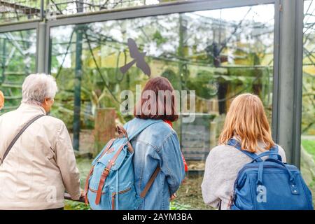 18 MAI 2018, BERLIN, ALLEMAGNE : les gens qui regardent des animaux dans le zoo, concept de loisirs familiaux Banque D'Images