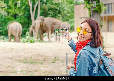 Femme regardant à la famille des éléphants se nourrir dans le zoo et faire des photos sur son smartphone Banque D'Images