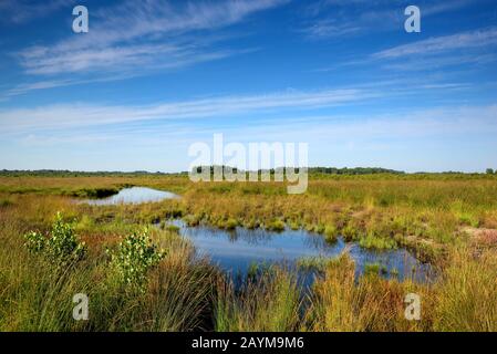 Étang de Haaksberbernerveen , Pays-Bas, Overijssel, Haaksbergen Banque D'Images