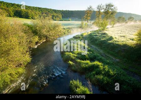 Rivière eau Blanche ; projet de restauration de Walphy au lever du soleil, Belgique, Viroinvallei, Dourbes Banque D'Images