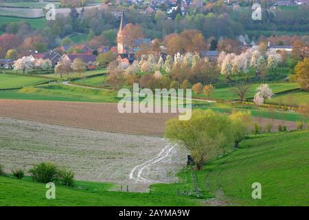 Paysage printanier près de Voeren, Belgique, Limbourg, Sint-Martens-Voeren, Voerstreek Banque D'Images