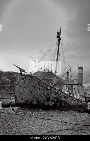 Vestiges de l'ancienne gare whaleing à Grytviken, Géorgie du Sud, Antarctique Banque D'Images