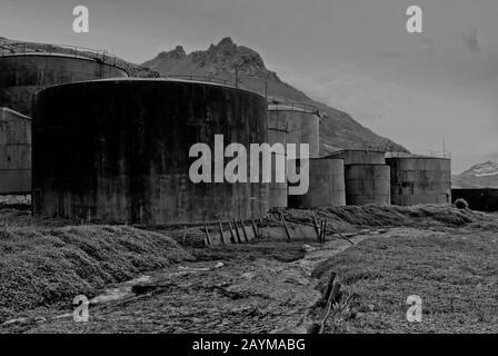 Vestiges de l'ancienne gare whaleing à Grytviken, Géorgie du Sud, Antarctique Banque D'Images