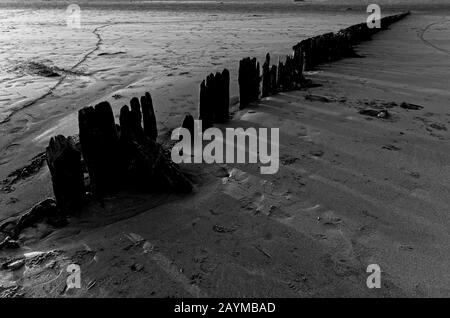 délabr de vagues de bois sur une plage de sable Banque D'Images