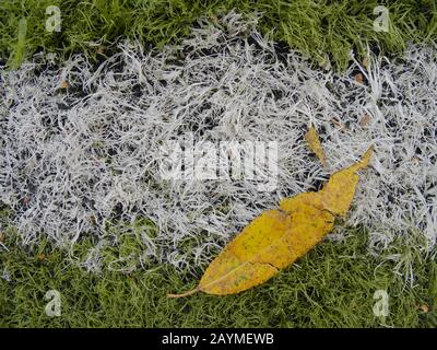 Base caoutchouteuse de gazon de football. Terrain de football vert synthétique à gazon artificiel avec ligne à rayures blanches Banque D'Images