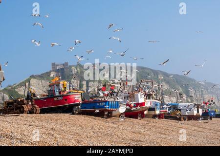 Hastings; les mouettes tourbillonnent les bateaux de pêche colorés de la vieille ville Stade Fishermen's Beach, Rock-A-Nore, East Sussex, Royaume-Uni Banque D'Images