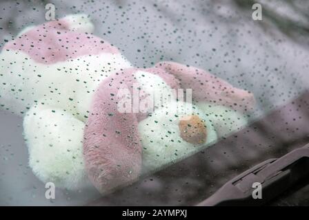 Chien solitaire triste sous le pare-brise de voiture le jour de la pluie Banque D'Images