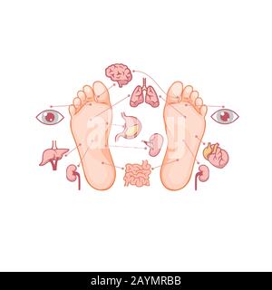 Semelles de bandes dessinées de pieds marquées par des zones de réflexologie pour les organes d'acupuncture Illustration de Vecteur