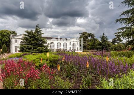 Parterres de fleurs devant l'Orangerie, conçues par Sir William Chambers, et complétées en 1761. Les Jardins botaniques royaux, Kew, Surrey, Angleterre. Banque D'Images